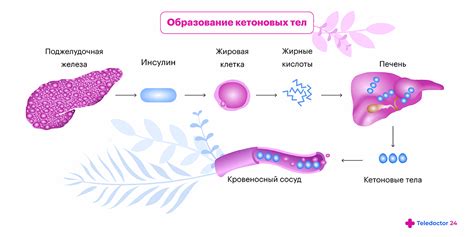 Как можно предотвратить образование аска в моче у ребенка?