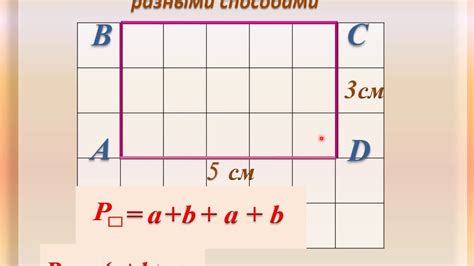 Как найти периметр прямоугольника или квадрата