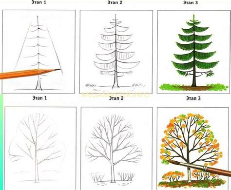 Как нарисовать карандашом красивые деревья