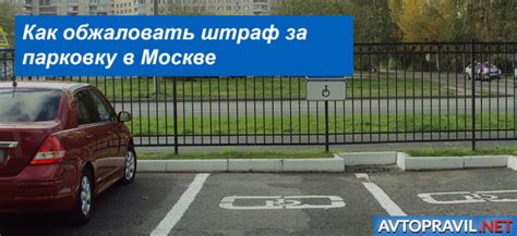 Как не платить штрафы за парковку: полезные рекомендации