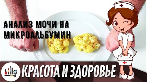 Как правильно расшифровать результаты