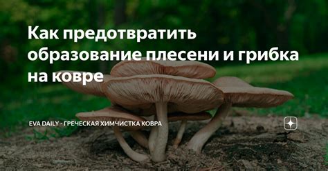 Как предотвратить образование плесени на соленых грибах