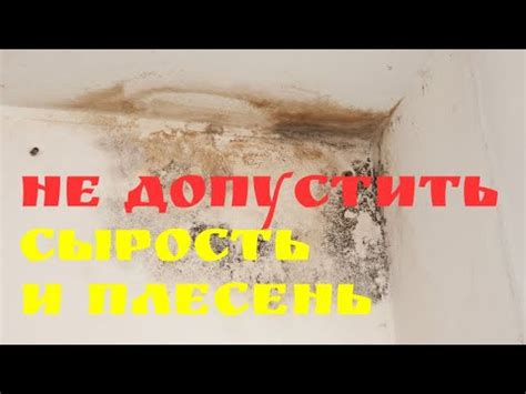 Как предотвратить сырость и плесень