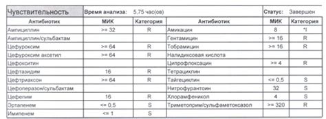 Как проводится диагностика Escherichia coli у женщин