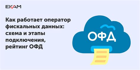 Как работает платформа ОФД: принципы и особенности