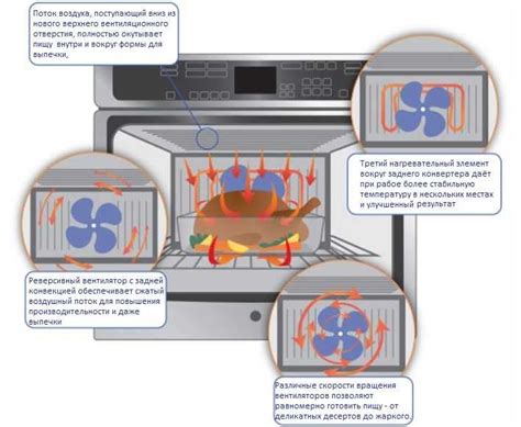 Как работает режим конвекции в мини-печи
