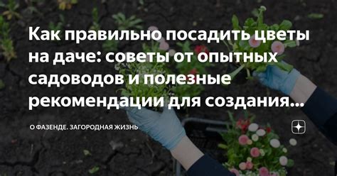 Как сохранить достоинство на улице: полезные советы и рекомендации