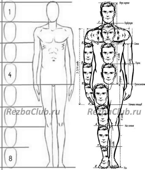 Как фигура головы и плечей отражает наше самочувствие