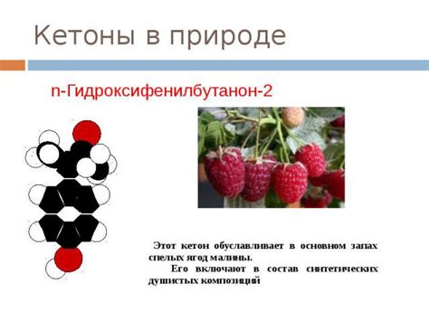 Кетоны и их роль в организме