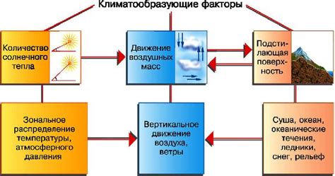 Климатические факторы и ослабление дерева