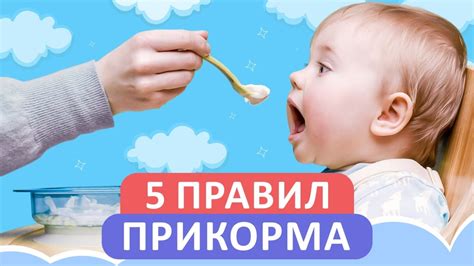 Когда приступить к прикорму: определяющие факторы