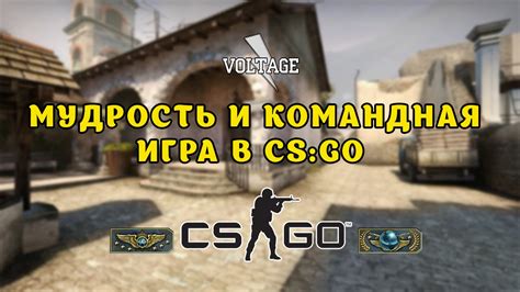 Коммуникация и командная работа в CS GO