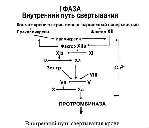 Компрессия: укрощение свертывания