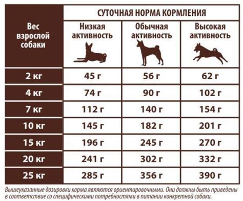 Контроль и дозировка питания щенка без молока