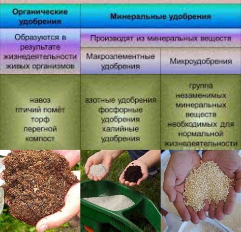 Коррекция кислотности почвы и добавление минеральных удобрений