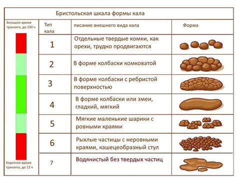 Кровавый кал: что значит гемоглобин в фекалиях и что это может означать