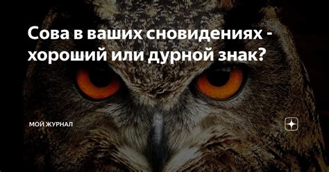 Крысы в сновидениях: предупреждение или знак?