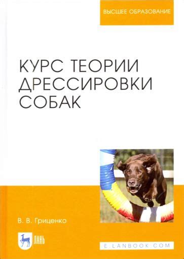 Курс дрессировки для собак: содержание