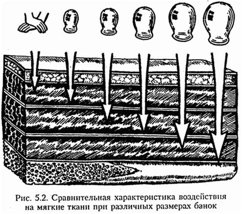 Лечение и профилактика: польза для организма