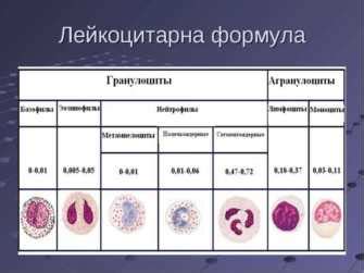 Лечение пониженного гематокрита крови у женщины