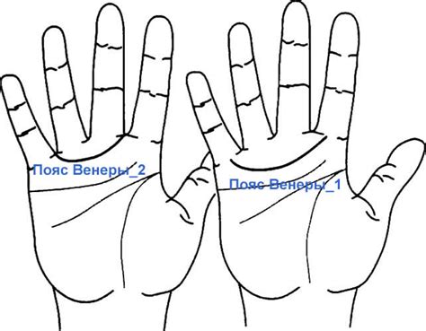 Линия Венеры: значение и интерпретация