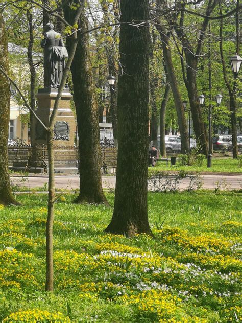 Листопад: настоящее зрелище представлено в городских парках и скверах