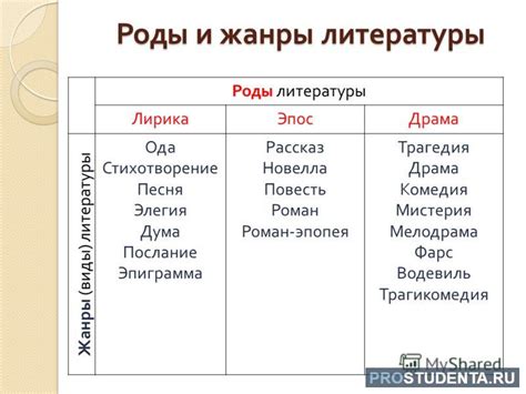 Литературные жанры: разновидности, особенности и примеры