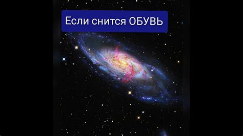 Магическая обувь: красота олицетворяется во снах