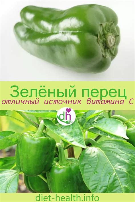 Маринование стручкового перца: вкусные и оригинальные рецепты