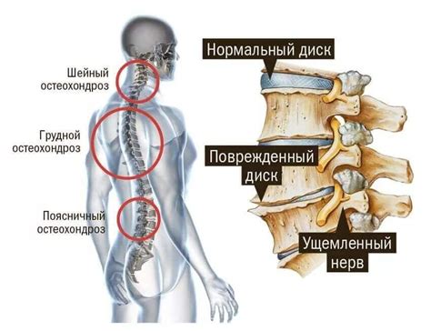 Массаж природным медом: процесс и результаты