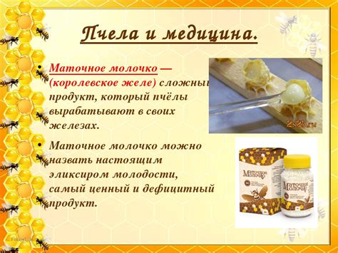 Маточное молочко с медом: полезные свойства