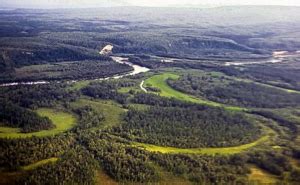 Межселенная территория в муниципальном районе