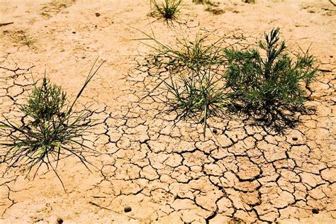 Мелиорация глинистой почвы с помощью песчано-глинистых смесей