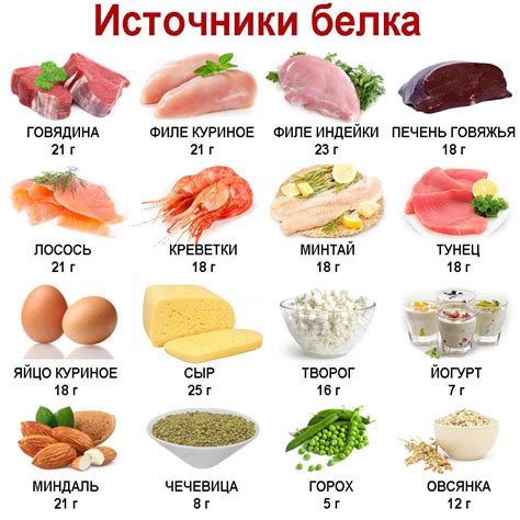 Меню на день: продукты с высоким содержанием белка