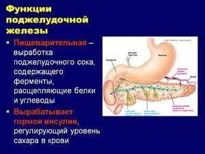 Местонахождение и функции панкреаса