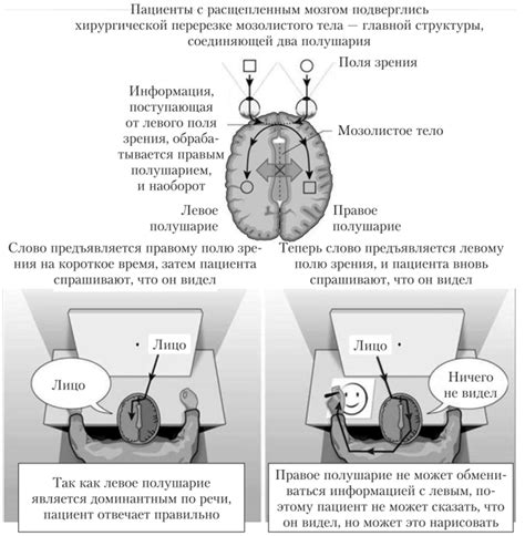 Методы диагностики и контроля вазогенных изменений у пациентов с мелкоочаговыми полушарий