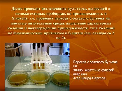 Методы обнаружения и измерения Staphylococcus aureus 10^4