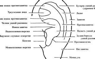 Методы устранения: промывание ушной раковины