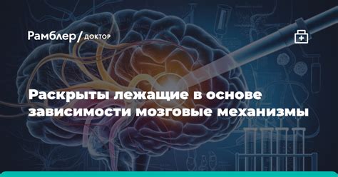 Механизмы, лежащие в основе муравьиного разума