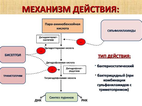 Механизм действия Феникамида