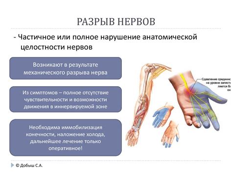 Механические повреждения или загрязнения