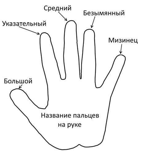 Мистическое и символическое объяснение сновидений о потере пальцев на левой руке