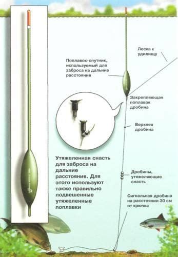 Мнение рыболовов: опыт использования лески и нити