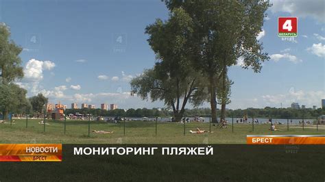 Мониторинг пляжей и водной поверхности