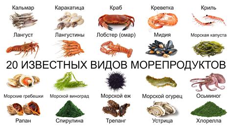 Морепродукты: низкокалорийный источник питания