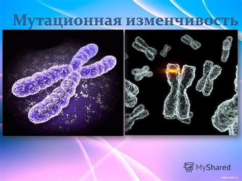 Мутации генетического материала