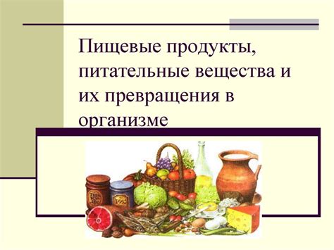 Мягкие пищевые продукты и жидкости - ваше спасение