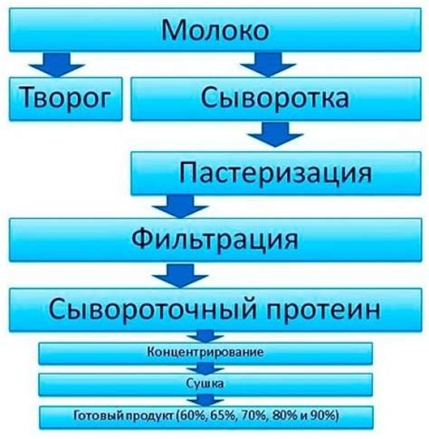 Нагрузка на почки при употреблении протеина