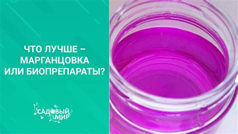 Назначение марганцовки для растений