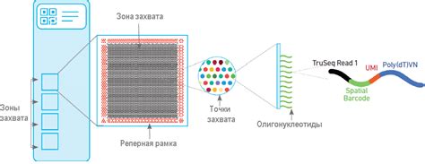 Наколка – быстрое решение для экспрессии